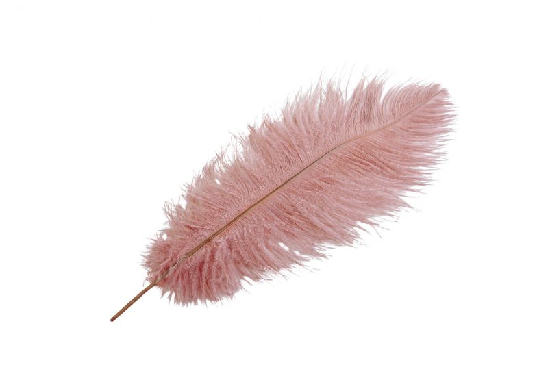 Strutsefjær rosa, 35-40cm
